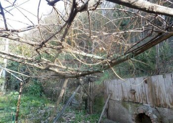 Casa indipendente Savona (zona Santuario) - foto 42