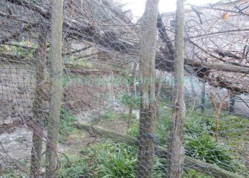 Casa indipendente Savona (zona Santuario) - foto 43