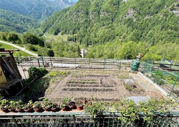 ORTO - Semi-detached house borgata Ciaberso, Massello - photo 23