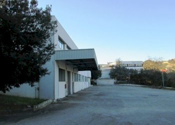 IMG_8407.JPG - Capannone Via Leonardo Da Vinci, San Benedetto del Tronto - foto 1