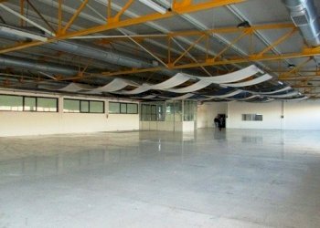 IMG_8421.JPG - Capannone Via Leonardo Da Vinci, San Benedetto del Tronto - foto 3