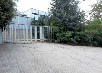 C ingresso su piazzale.jpg - Capannone Via Leonardo Da Vinci, San Benedetto del Tronto - foto 12