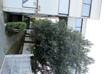 IMG_8403.JPG - Capannone Via Leonardo Da Vinci, San Benedetto del Tronto - foto 17