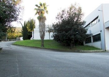 IMG_8405.JPG - Capannone Via Leonardo Da Vinci, San Benedetto del Tronto - foto 19