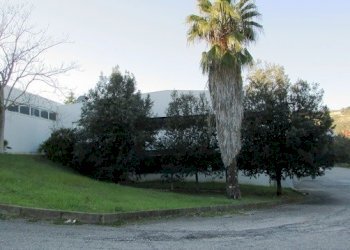 IMG_8408.JPG - Capannone Via Leonardo Da Vinci, San Benedetto del Tronto - foto 21