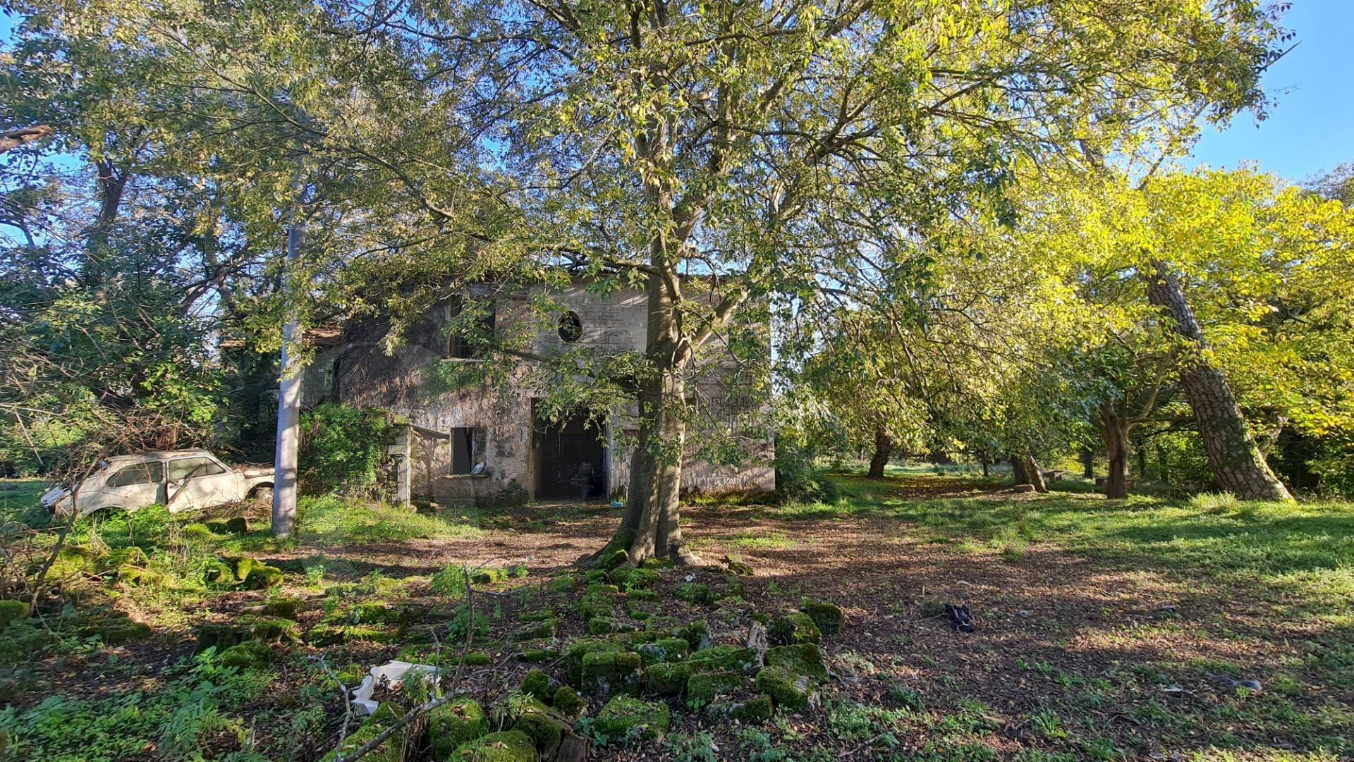 Rustic Contrada Ravicelle, Aquino - photo 3