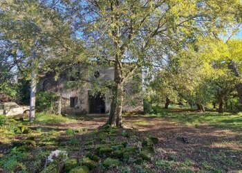 Rustico Contrada Ravicelle, Aquino - foto 3