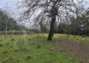 Rustico Contrada Ravicelle, Aquino - foto 15