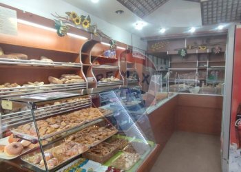 Commercial Activity Lingotto, Torino, Torino (neighborhood Lingotto) - photo 3