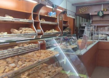 Commercial Activity Lingotto, Torino, Torino (neighborhood Lingotto) - photo 5