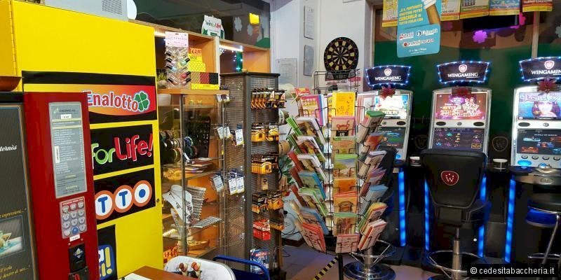 84_1474030487-3.jpg_large.jpg - Stationery - Bookshop Via Fillungo, Lucca - photo 3