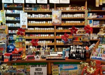 84_1474030536-5mod.jpg_large.jpg - Cartoleria - Libreria Via Fillungo, Lucca - foto 4