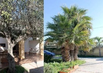 Villa contrada Berbarello, Marsala - foto 6