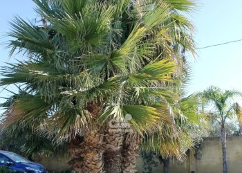 Villa contrada Berbarello, Marsala - foto 31