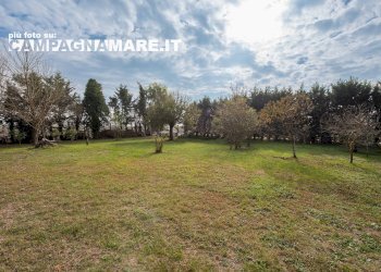 Casa indipendente via piave, Codigoro - foto 8