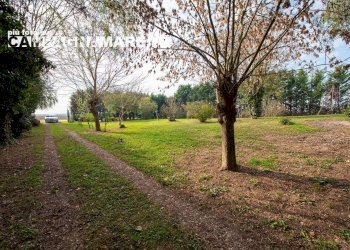 Casa indipendente via piave, Codigoro - foto 11