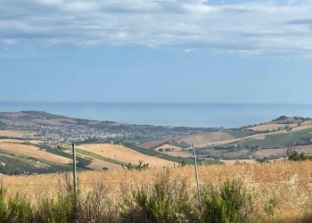 Terreno agricolo Lapedona - foto 5