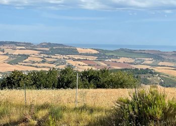Terreno agricolo Lapedona - foto 6