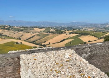 Terreno agricolo Lapedona - foto 8
