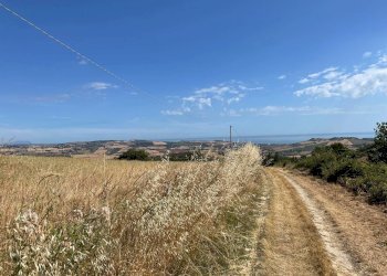 Terreno agricolo Lapedona - foto 15