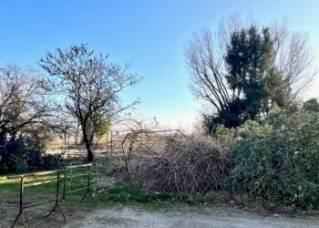 Rustico Parma - foto 7