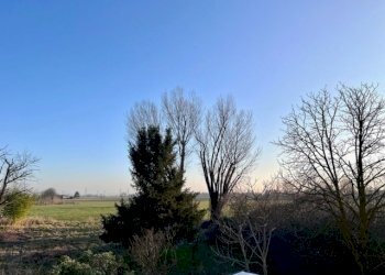 Rustico Parma - foto 12