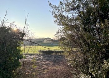 Rustico Parma - foto 13