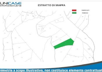 estratto di mappa Terreno boschivo in vendita a Bricherasio - Agricultural land Bricherasio - photo 2