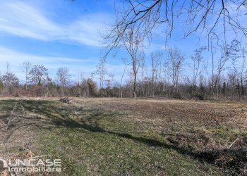 Agricultural land strada Ghiaie, 9, Bricherasio - photo 1