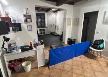 Magazzino - Shop via San Savino, 1, Bologna (neighborhood Lame) - photo 9