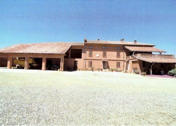 Azienda agricola Nizza Monferrato - foto 1