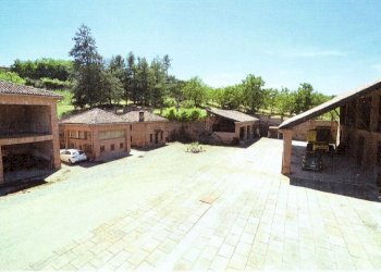 Azienda agricola Nizza Monferrato - foto 2