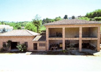 Azienda agricola Nizza Monferrato - foto 4