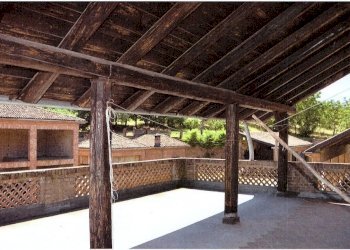 Azienda agricola Nizza Monferrato - foto 5