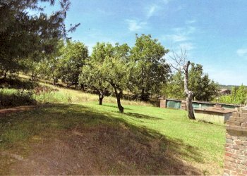 Azienda agricola Nizza Monferrato - foto 9