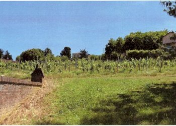 Azienda agricola Nizza Monferrato - foto 10