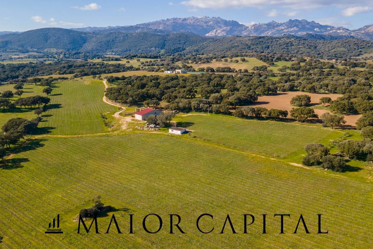 Azienda agricola Località San Michele, Berchidda - foto 3