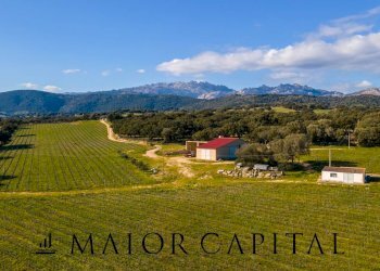 Azienda agricola Località San Michele, Berchidda - foto 1