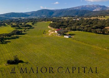 Azienda agricola Località San Michele, Berchidda - foto 2