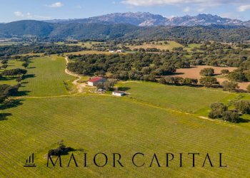 Azienda agricola Località San Michele, Berchidda - foto 3