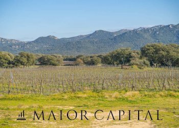 Azienda agricola Località San Michele, Berchidda - foto 7