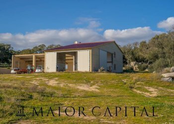 Azienda agricola Località San Michele, Berchidda - foto 9