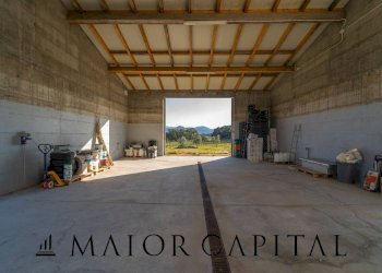 Azienda agricola Località San Michele, Berchidda - foto 12