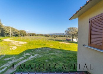 Azienda agricola Località San Michele, Berchidda - foto 14