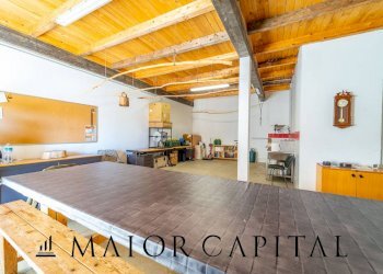 Azienda agricola Località San Michele, Berchidda - foto 22