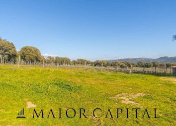 Azienda agricola Località San Michele, Berchidda - foto 24