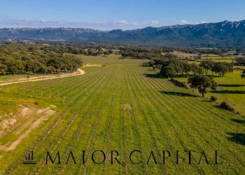 Azienda agricola Località San Michele, Berchidda - foto 27