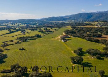 Azienda agricola Località San Michele, Berchidda - foto 28