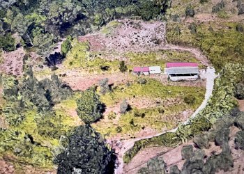 IMG_3466.JPG - Terreno edificabile Bolano - foto 1