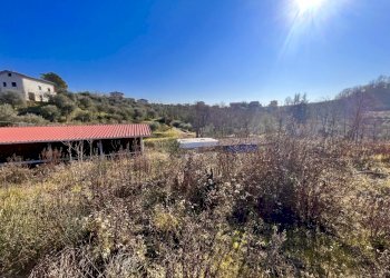 IMG_3467.JPG - Terreno edificabile Bolano - foto 2